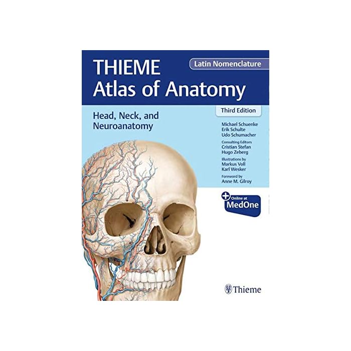 Buy Head, Neck, and Neuroanatomy (THIEME Atlas of Anatomy), Latin