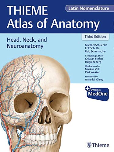 Buy Head, Neck, and Neuroanatomy (THIEME Atlas of Anatomy), Latin