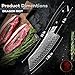 DRAGON RIOT Damastmesser, Japanisches Fleischmesser extrem scharf, Handgeschmiedete Kochmesser profi Messer, Damast Küchenmesser mit Geschenkbox
