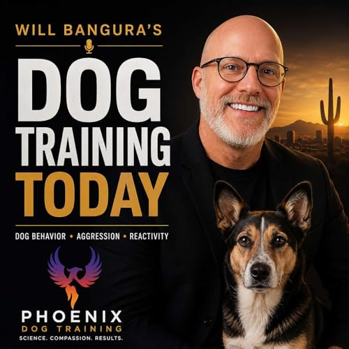 Calm Your Reactive or Aggressive Dog with Look at That Training