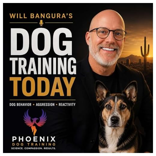 PET TALK TODAY Dog Training with Will Bangura: Dog Behaviorist, Dog Trainer, Dog Training, Cat Training, Pet Health, and Wellbeing.