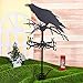 SUPERDANT Crow Weather Vane Black Metal Wind Vanes for Outside Weathervane Crow Animal Weathervanes for Yard Garden Decorative Outdoor Farmhouse Farm Barn Sheds Patio Halloween Decorations