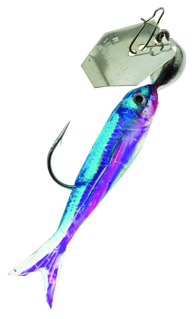 Amazon.com : Z-Man CB-FBMINI116-04 Flashback Mini : Fishing