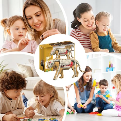 Rompecabezas 3D de esqueleto de tiburón para regalar a niñas 4