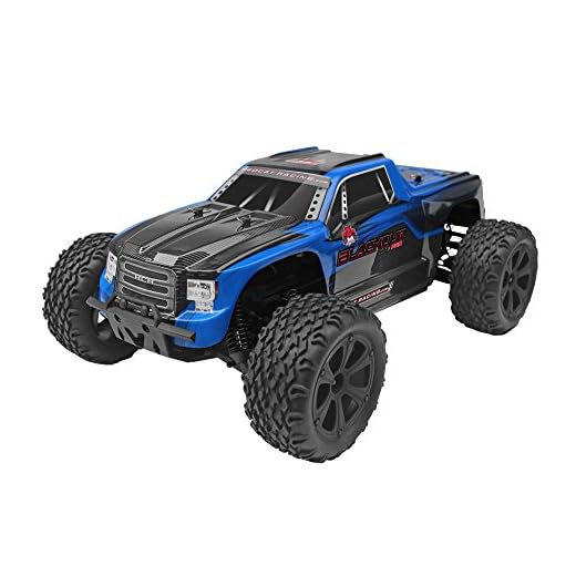 Redcat Racing Blackout XTE PRO 1/10 Scale Brushless Electric Monster Truck with Waterproof Electronics, Blue