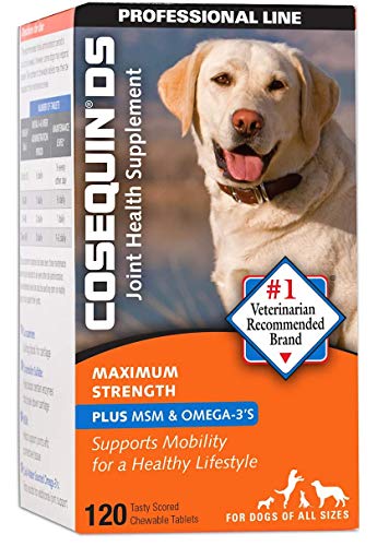 Cosequin Maximum Strength + MSM and HA 120 Count (NOT DS)