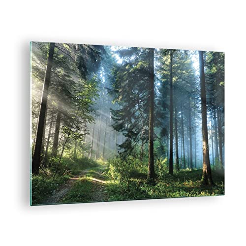 Quadro su Vetro La foresta l'alba il sole Stampe da Parete in Vetro 70x50cm Quadri Moderni Soggiorno Camera da Letto Cucina 1 pezzo Piccoli Decorazione Murale Wall Art Grafica Immagini GAA70x50-4398