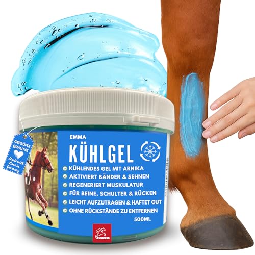 Kühlgel Pferd I Pferdesalbe Pferdebalsam kühlend 500 ml Gel mit Arnika Salbe hochkonzentriert I Kühlsalbe Pferd extra stark Sehnen Gelenke Muskeln I kühlende Salbe I Kühl Arnica Gel bei Muskelkater