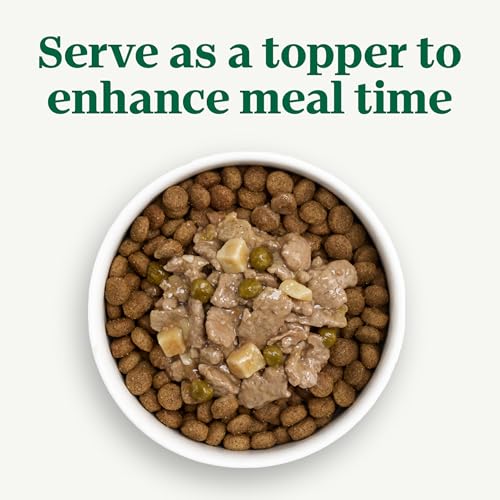 Image of Nutro Cuts in Gravy Wet Dog Food, Roasted Turkey Stew, 3.5 oz, 24 Count