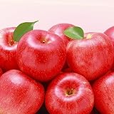 Ha una vasta gamma di usi e adattabilità a diverse situazioni.È facile da allevare.