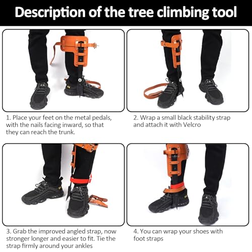 Image of Tree Climbing Gear, Tree Climbing Spikes, Tree Climbing Gear with Adjustable Climbing Straps and Steel Core Flip Line, Rock Climbing Kit with Triple Lock Lanyard Adjuster