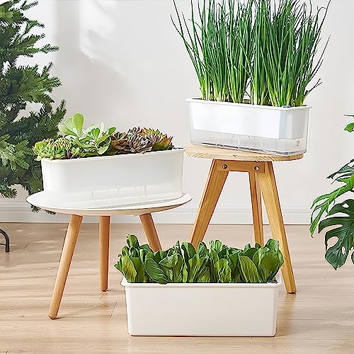 FAMZ Self Watering Pots for Indoor Plants 3 Pack Transparent Rectangular Planter, Vegetable Planters for Windowsill Patio Garden Balcony Home Porch Yard Indoor Outdoor, White by FAMZ - Image 4