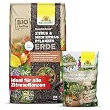 Neudorff Zitrus-Set – Bio Zitrusdünger und torffreie Zitruserde für kräftiges...