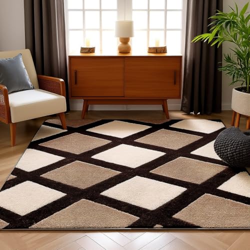 Image of Carpet for Hallway, Kitchen, and Modern Interiors, Cozy Shag Runner for Living Room, Entryway & Office Decor Size 5x8 feet Coffe Line