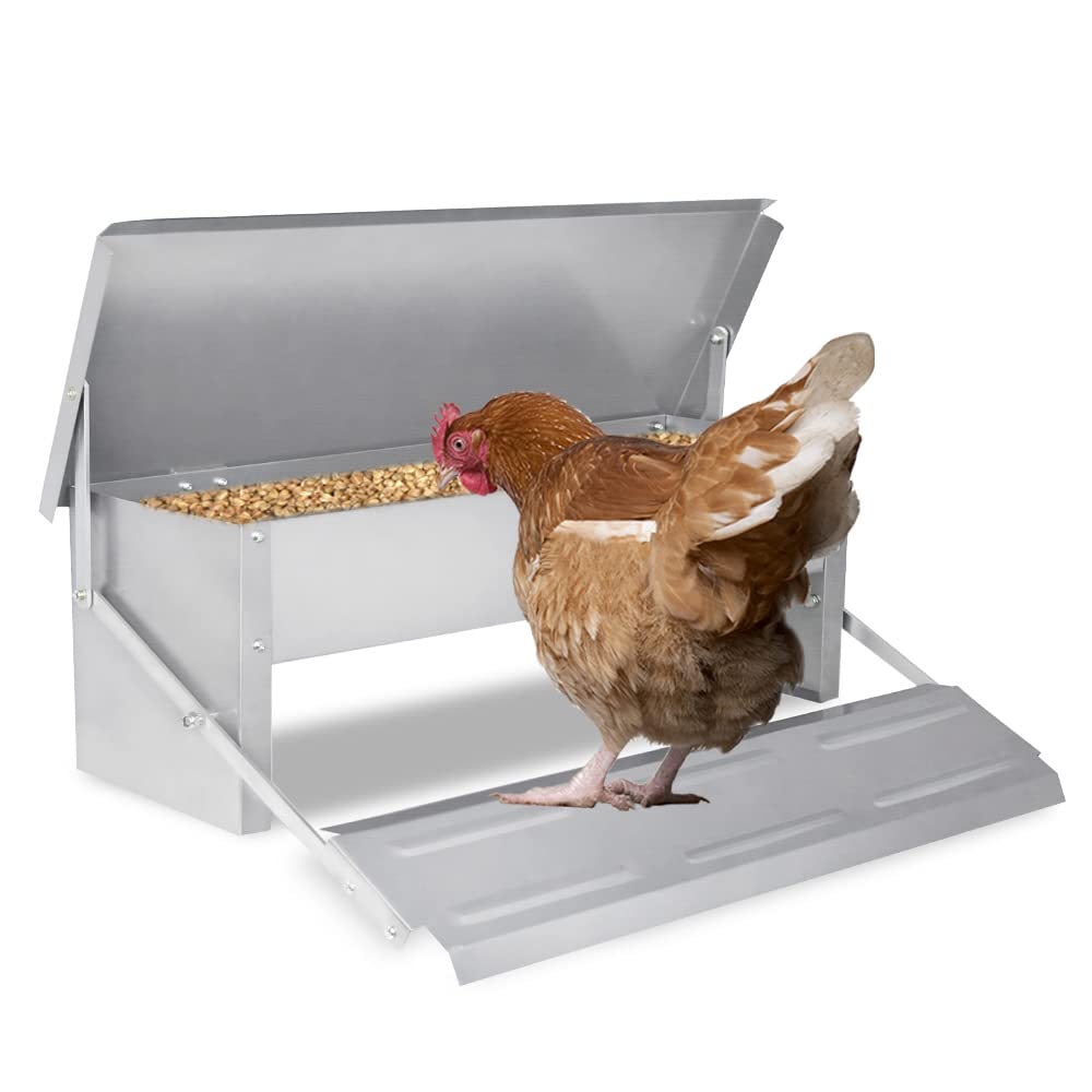 UISEBRT Comedero automático para gallinas, 5 kg, de acero galvanizado, para aves de corral, resistente al agua y a prueba de ratas