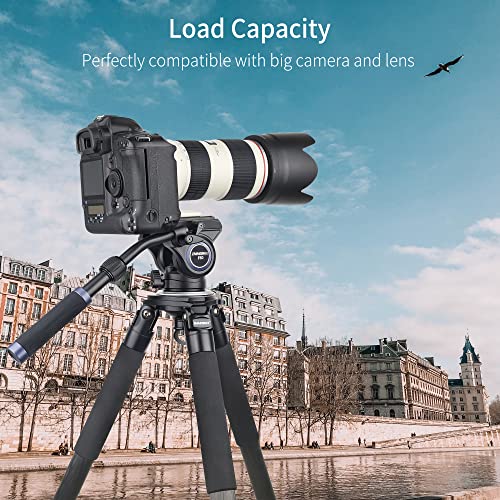 Image of Professional Camera Tripod Fluid Head-INNOREL F60,Hydraulic Panoramic Video Fluid Head with 1 /4 inch and 3 /8 inch Screws Sliding Plate for DSLR Cameras,Camcorders, Telescope,Monopod,Max Load 22lbs (F60)