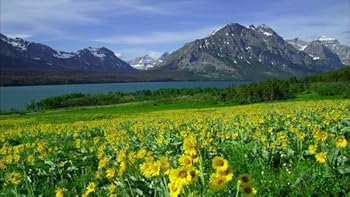 Blu-ray Glacier National Park [Blu-ray] Book