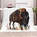 GCYKGL Coperta Letto 3D Bisonte Coperta in Microfibra di Flanella Morbido Durevole e Caldo Copriletti 3D Stampa Peluche Coperte ​per Letto Divano 180x220 cm