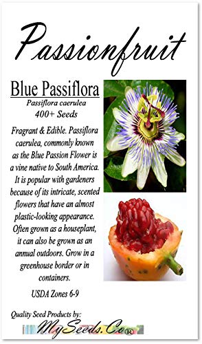 Big Pack - Passionfruit or Passion Fruit, Blue Passiflora caerulea Seeds - Non-GMO Seeds (Passionfruit (400 Seeds))