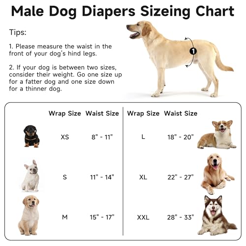 Image of 5 Pack Dog Diapers Male Reusable, Premium Belly Bands for Male Dogs, High Absorbing Male Dog Pee Wraps for Doggie in Incontinence or Excitable Urination and Training,Light Gray,XS