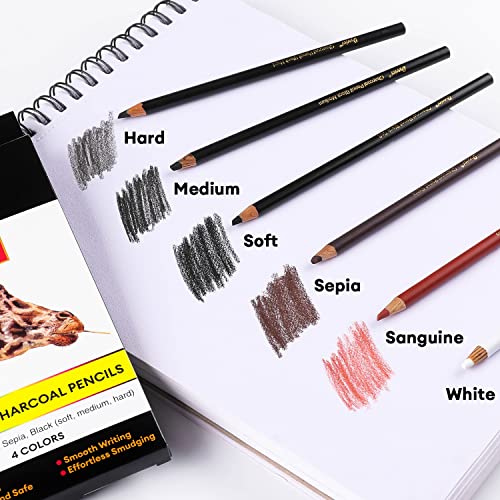 Dyvicl Charcoal Pencils Drawing Set, 12 Pieces Colored Charcoal Pencils For Drawing, Sketching, Shading, Blending, Highlight White Pencils For Beginners And Artists #TOP3