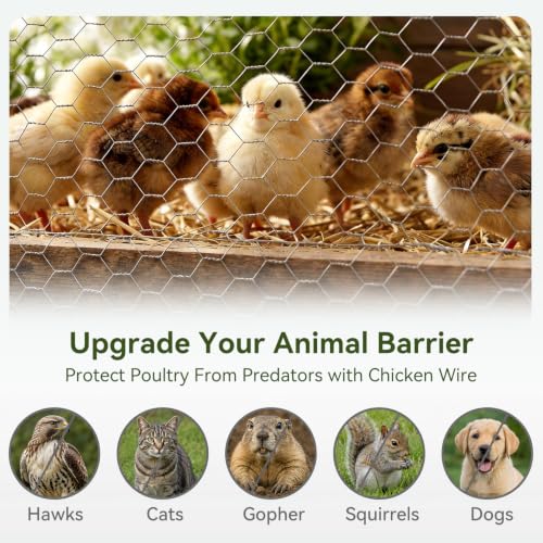 Chicken Wire 13.7 in x 236 in Poultry Wire Netting + 100 Ties Hexagonal Galvanized Mesh Garden Fence Barrier for Craft Projects Pet Rabbit Fencing - image 6