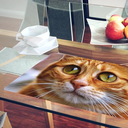 Dessous en liège chat roux grand format lavable pour napperon de table enfant - 6