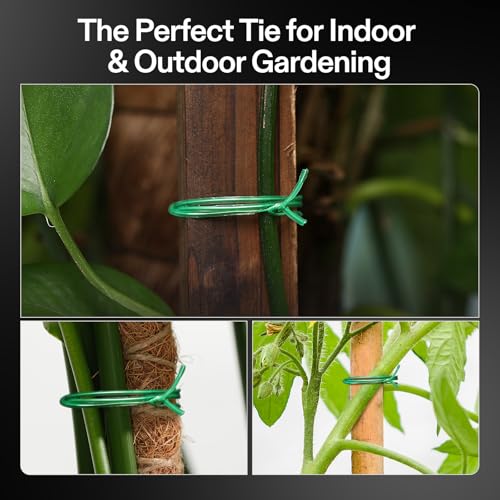 Image of VIVOSUN Twist Ties, 164 ft (50m) PE-Coated Green Plant Ties with Cutter, Reusable & Flexible Tomate Ties for Plant Support, Indoor Outdoor Gardening, Cable Management, Home Office Organization