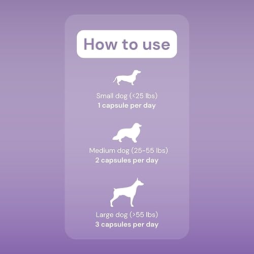 Miniatura 6 de OptiCalm - Suplemento calmante para perros, GABA, L-teanina y L-triptófano, cápsulas de espolvoreo para relajación y alivio de la ansiedad, ayuda
