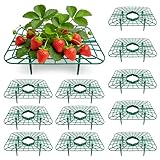 12 Stück Quadratisch Erdbeerstützen für Erdbeeren Pflanzen, Erdbeerreifer Zeit Erdbeerpflanzenständer, Schneckenschutz Erdbeeren Schutz, Fäuleverhindernde Erdbeernetz für Garten Hochbeet Gewächshaus