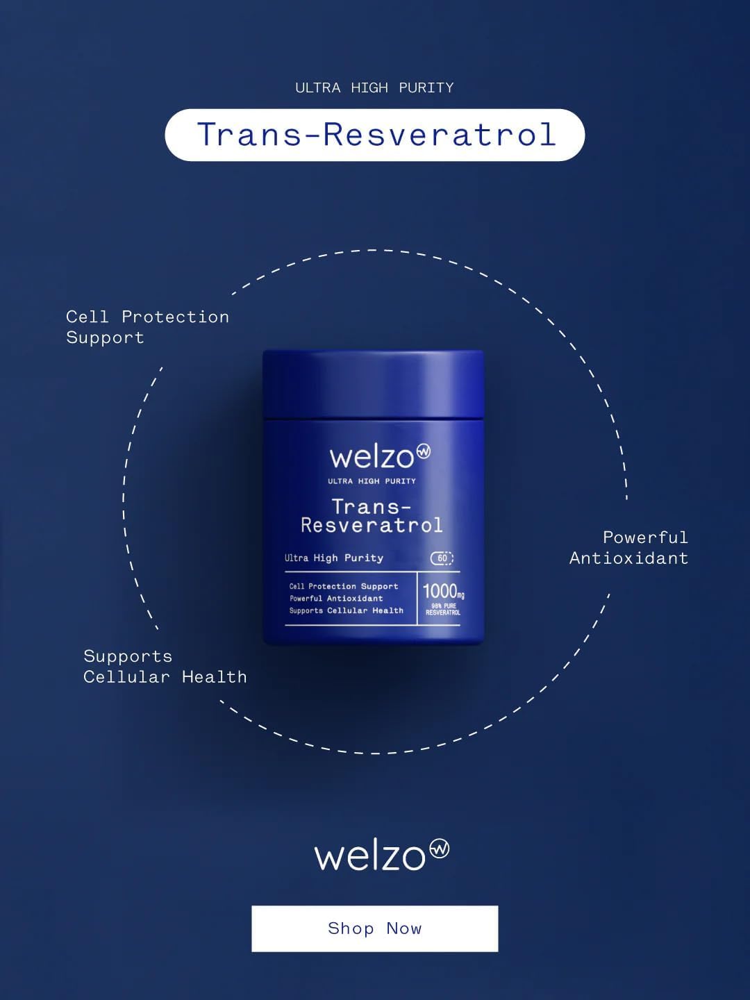 Welzo Ultra-Hochreines Trans-Resveratrol 1000mg Kapseln | 98% Standardisierter Japanischer Staudenknöterich-Extrakt | Vegetarische Kapseln | 60 Stück