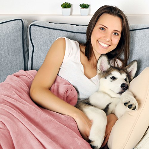 https://m.media-amazon.com/images/I/51ABZDXOTmL._SL500_.jpg