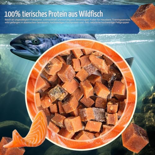 Lachs Hundeleckerlis,Hundetraining Leckerlis Belohnung, natürliche fettarme Lachssnacks für Hunde, reich an Omega 3, nahrhaft und Gute Absorption, gesunde Hundeleckerlis Hundesnack 100g