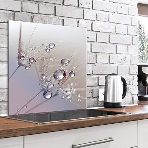 murando Panel de Vidrio para Cocina 60x60 cm Vidriopanel Protector Pantalla Antisalpicaduras Salpicadero con Gráfica Panel Decorativo Motivo Flores Diente de leon - b-B-0432-aq-a