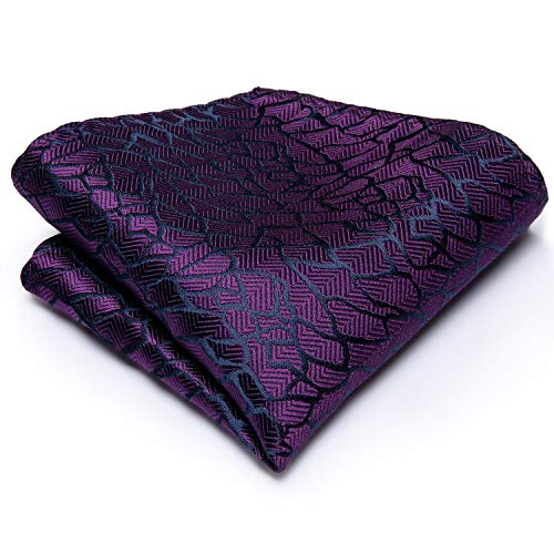 Image of Hi-Tie Men 63inches Tie Set Extra Long Necktie Paisley Tie Pocket Suqare Cufflinks Big and Tall Men Tie