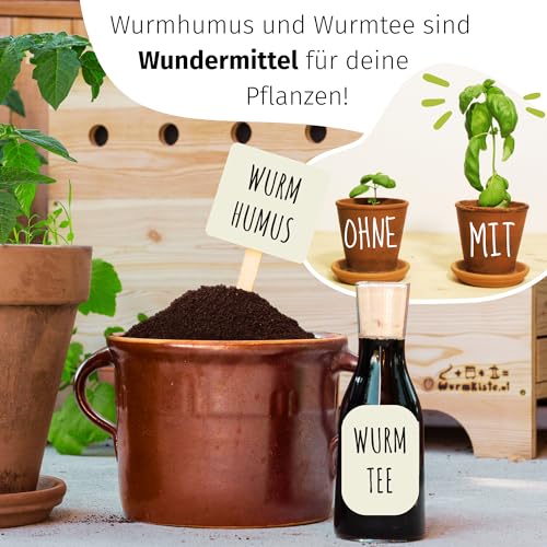 Kompostwürmer von WORMSYSTEMS – 500 Stück mit 5 Litern Kompoststarter