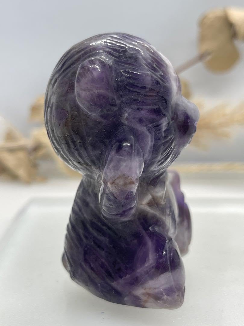 まー様8/1【1896】くまさん ケープアメジスト 【公式通販】