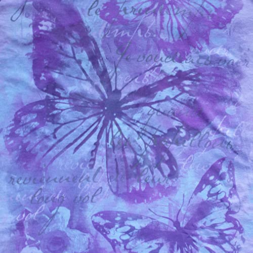 Hanes Women's Short Sleeve V-Neck Graphic T-Shirt, Big Butterfly Impression, X-Large Us #TOP3