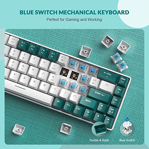 Image of ZIYOU LANG RK-T8PR0 Wired 65% Mechanical Gaming Keyboard and Mouse Combo with RGB LED Backlit Anti-ghosting TKL Mini 68 Key Coiled C to A Cable Tactile Blue Switch for PS4 PS5 Xbox PC Mac Gamer(Green)