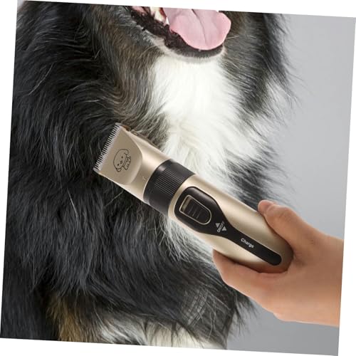 Tondeuse pour animaux de compagnie chat et chien sans fil en céramique et titane - 5