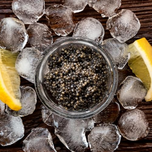 ELITE SELECTION}_KXJY oG VOl`[ LrAbMEY̋ɏtbVb}\ቖ̕ii閡킢b}^\A΁iW1400mj̐ފ󏭃LrAbMtgBOXt Madagascar Baeri Signa