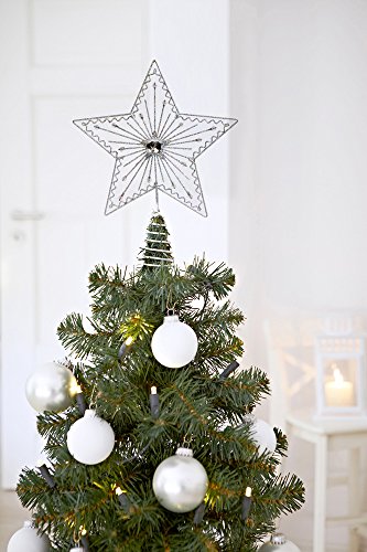 Brauns-Heitmann 81492 - Punta per Albero di