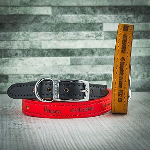 National Engraver Dog Collars Ancol Personalised Dog Collar with leads | Heritage Leather Cover