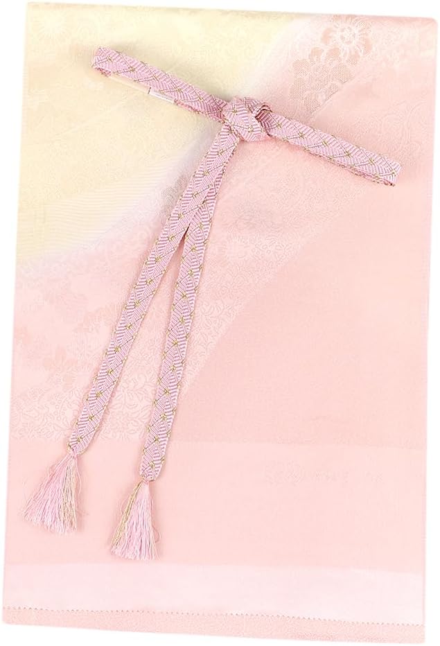 う24) 雅 ✦ 華やぐ赤菊と小花の競演 艶やかな型染め振袖⑤点セット う