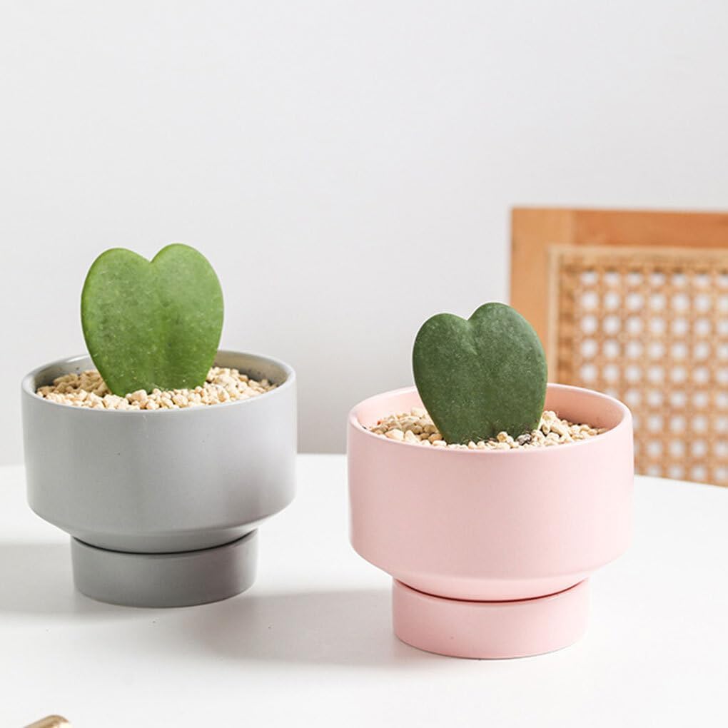 Ceramic Planter Pot,Flower Pots Lightweight Ceramic Planters for Indoor and Outdoor Durable Ceramics Ceramic Plant Pots Pot for Succulents, White, Small (Color : Gray, Size : Small)