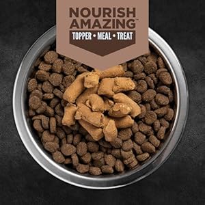 ORIJEN-Regional-Red-Freeze-Dried-Epic-Bites-6OZ - Cucciolini Doodles   ORIJEN-Regional-Red-Freeze-Dried-Epic-Bites-6OZ