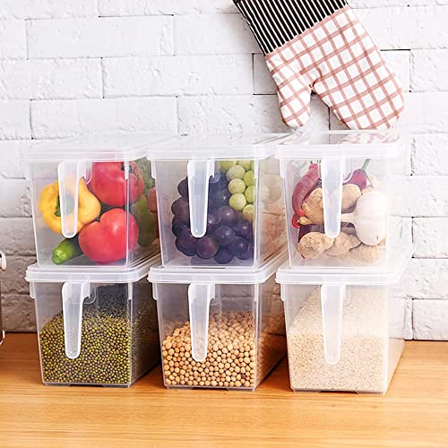 Image of Plastic Fridge Storage Organizer Container with Lid & Handle - 5L Transparent Refrigerator Organizer Box for Vegetables & Fruits (Pack of 1)