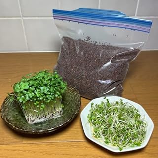 ブロッコリー(スプラウト)のタネ 300ML これだけあれば約60回以上収穫できます
