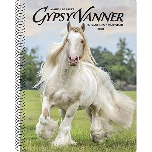 Gypsy Vanner Horse 2020 Engagement Calendar