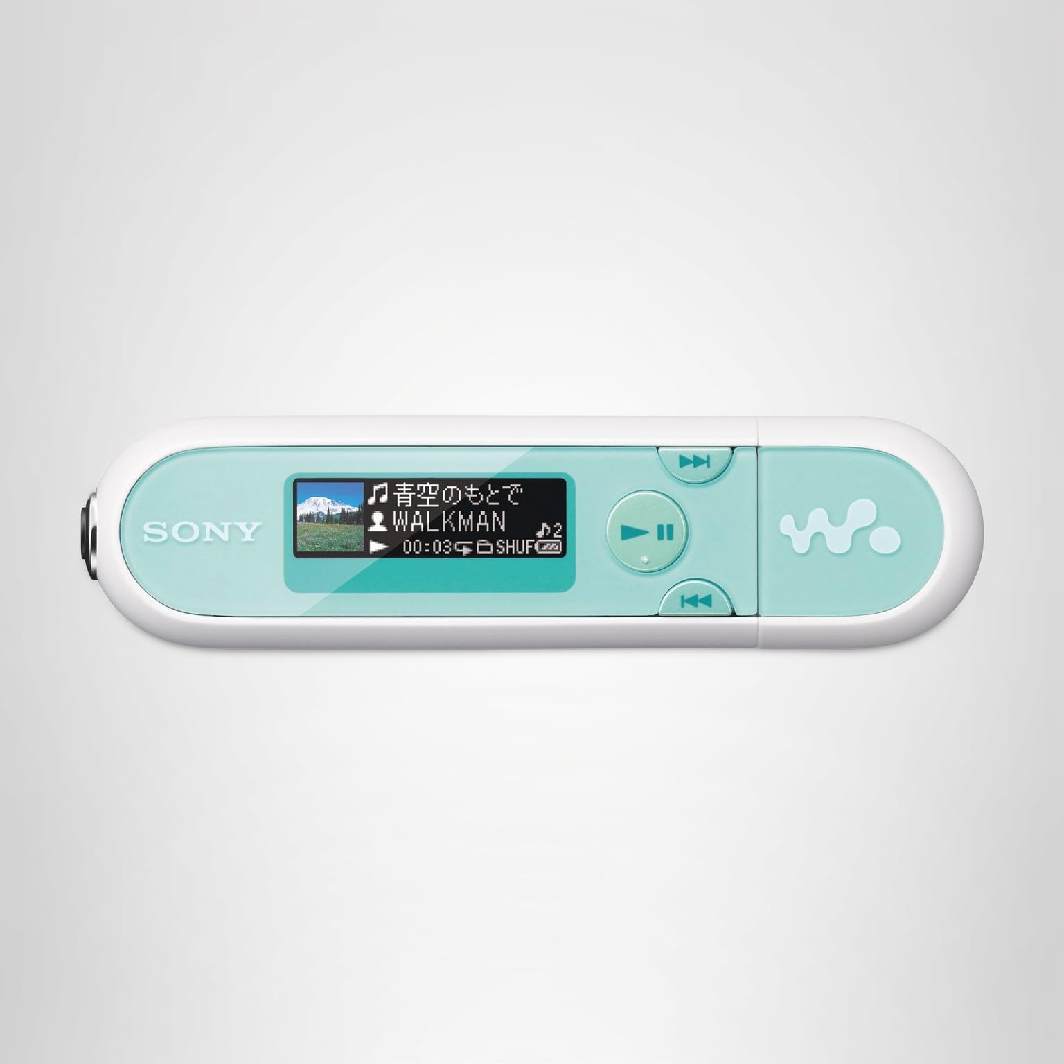 Amazon.co.jp: SONY ウォークマン Eシリーズ FM付 [メモリータイプ